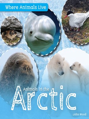 cover image of Animals in the Arctic